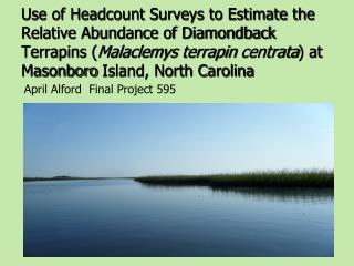 Use of Headcount Surveys to Estimate the Relative Abundance of Diamondback Terrapins ( Malaclemys terrapin centrata )