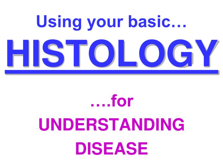 using your basic histology