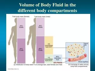 Volume of Body Fluid in the different body compartments