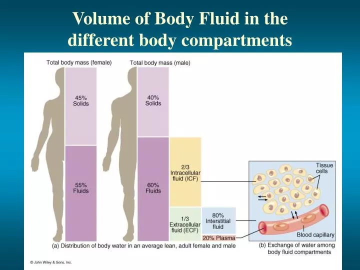 volume of body fluid in the different body compartments