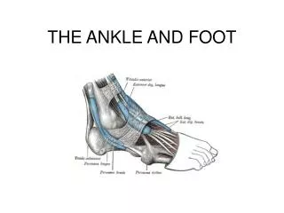 THE ANKLE AND FOOT