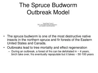 The Spruce Budworm Outbreak Model