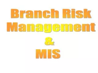 Branch Risk Management &amp; MIS