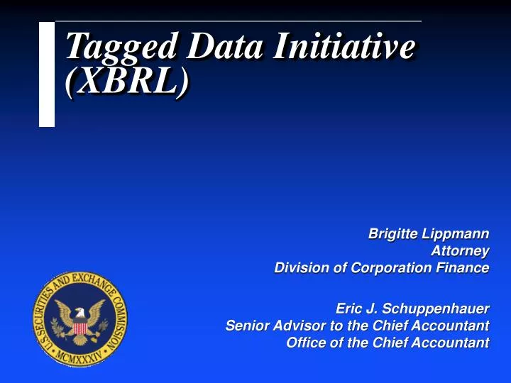 tagged data initiative xbrl