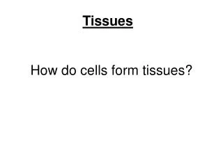 How do cells form tissues?