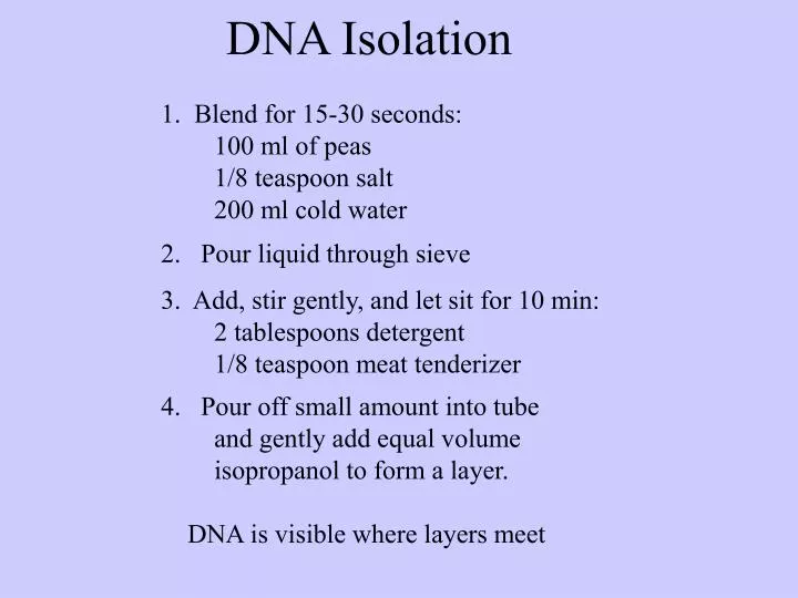 dna isolation