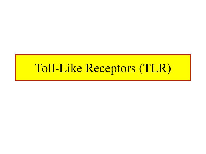 toll like receptors tlr