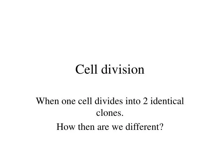 cell division