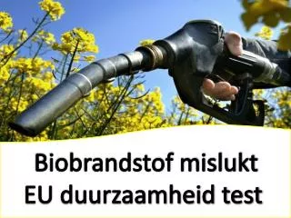 Biobrandstof mislukt EU duurzaamheid test, The Tyler Group