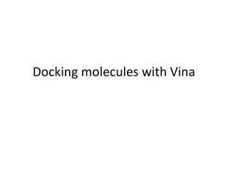 Docking molecules with Vina