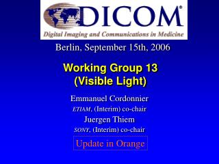 Working Group 13 (Visible Light)