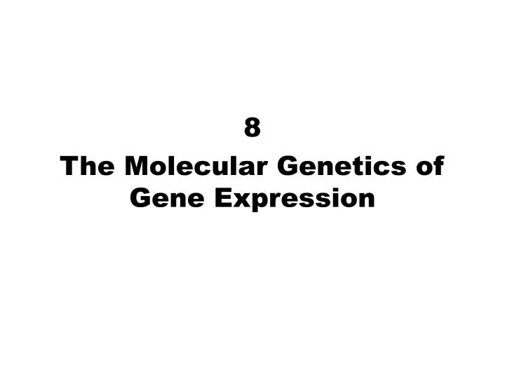 8 the molecular genetics of gene expression