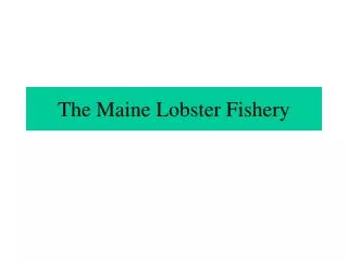 The Maine Lobster Fishery