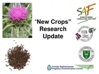 “ New Crops” Research Update