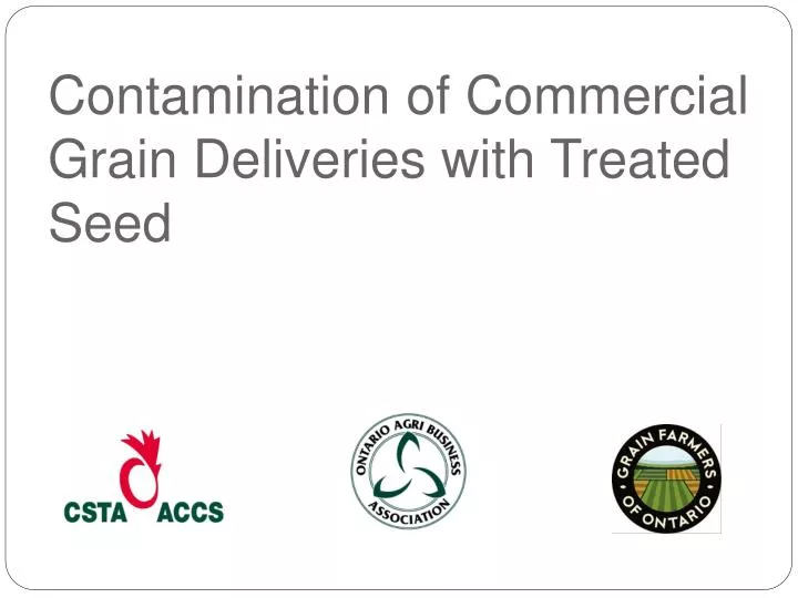 contamination of commercial grain deliveries with treated seed