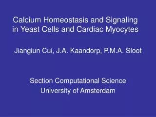 Calcium Homeostasis and Signaling in Yeast Cells and Cardiac Myocytes