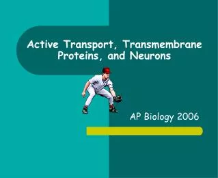 Active Transport, Transmembrane Proteins, and Neurons