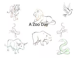 A Zoo Day