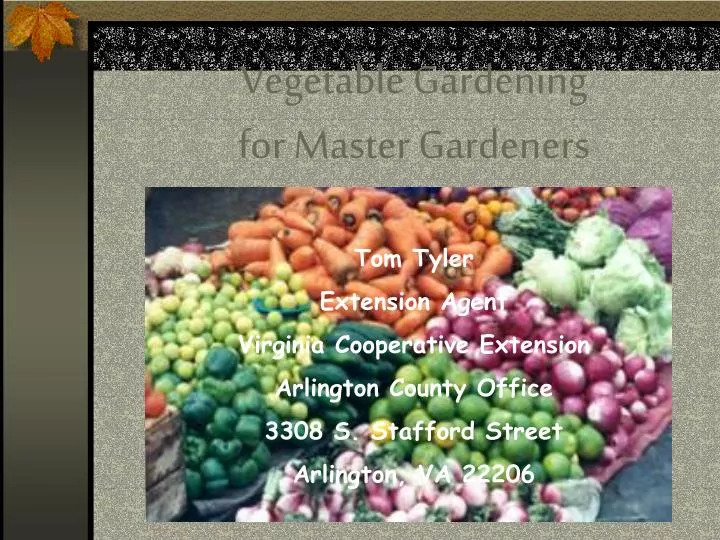 vegetable gardening for master gardeners