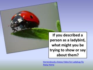 If you described a person as a ladybird, what might you be trying to show or say about them?