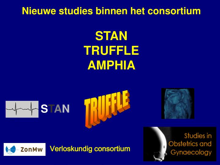 nieuwe studies binnen het consortium stan truffle amphia