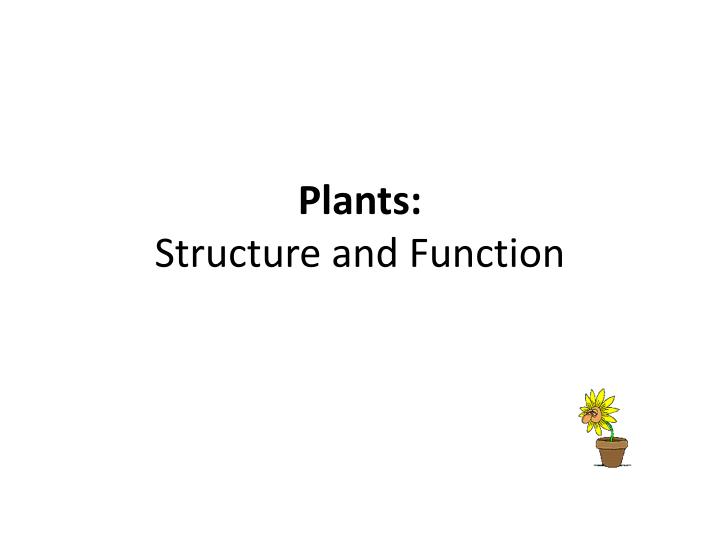 plants structure and function