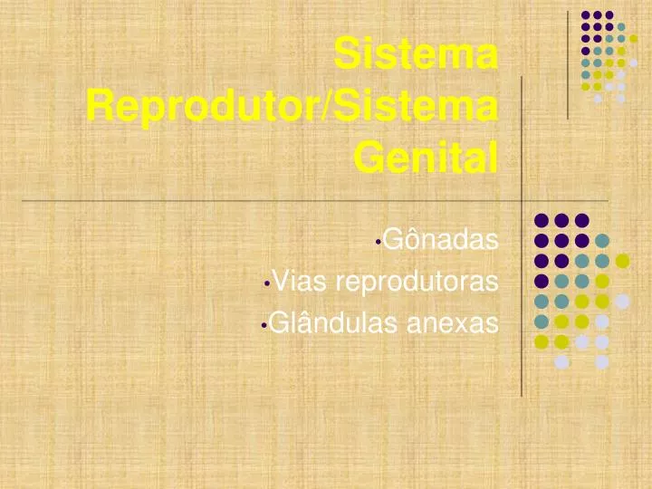 sistema reprodutor sistema genital