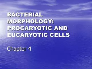 BACTERIAL MORPHOLOGY: PROCARYOTIC AND EUCARYOTIC CELLS Chapter 4