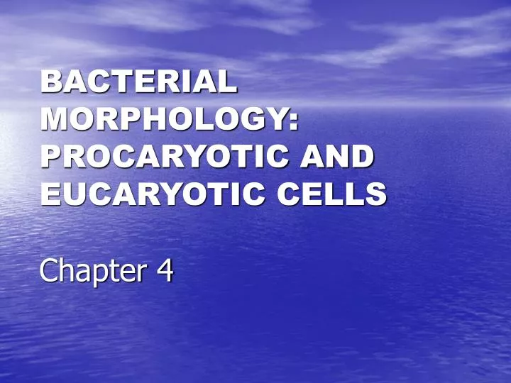 bacterial morphology procaryotic and eucaryotic cells chapter 4