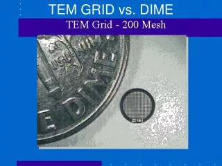 TEM GRID vs. DIME