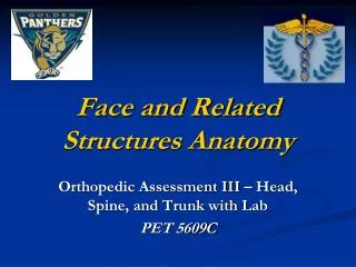 Face and Related Structures Anatomy