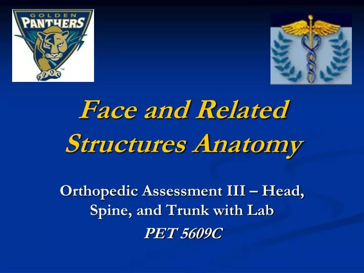 face and related structures anatomy