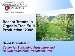 Recent Trends in Organic Tree Fruit Production: 2002