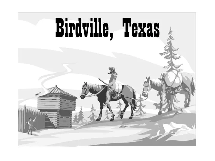 birdville texas
