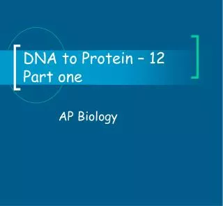 DNA to Protein – 12 Part one