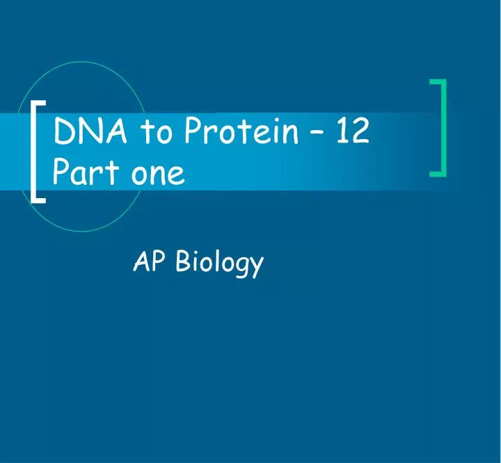 dna to protein 12 part one