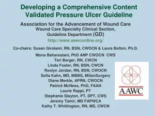 Developing a Comprehensive Content Validated Pressure Ulcer Guideline