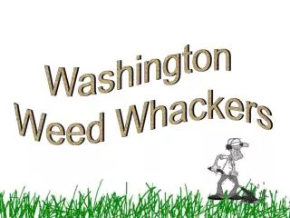 Washington Weed Whackers