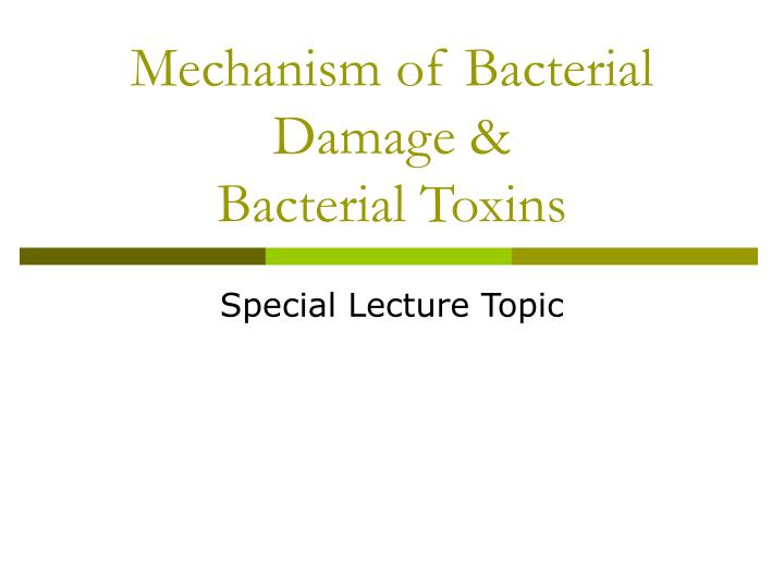 mechanism of bacterial damage bacterial toxins