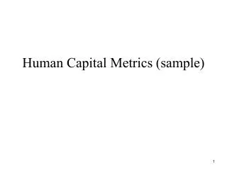 Human Capital Metrics (sample)