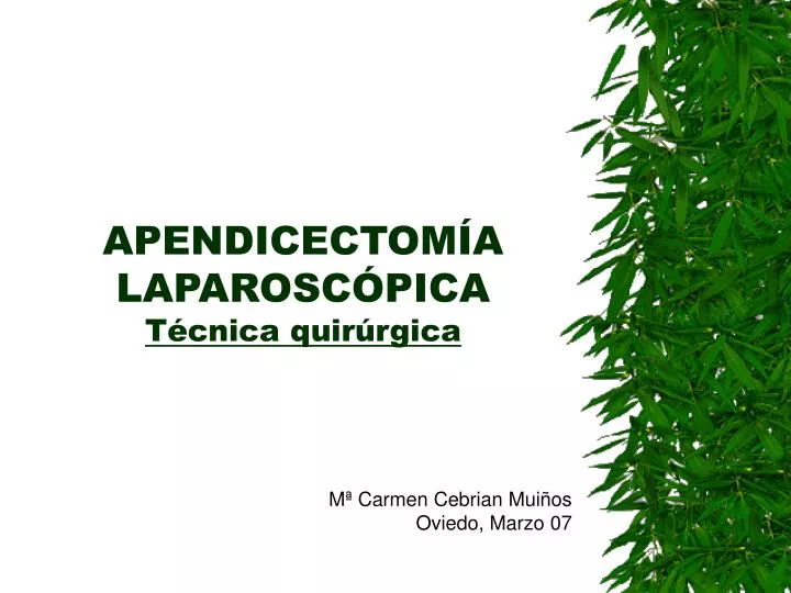 apendicectom a laparosc pica t cnica quir rgica