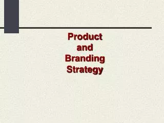 Product and Branding Strategy