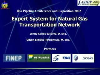 Expert System for Natural Gas Transportation Network