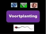 Voortplanting - slide 1