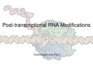 Post-transcriptional RNA Modifications