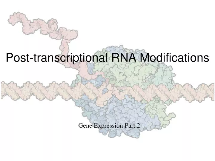 post transcriptional rna modifications