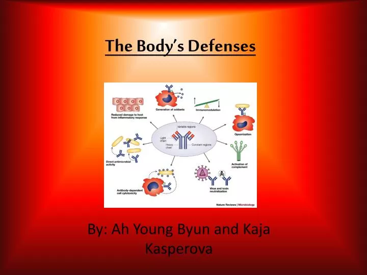 the body s defenses