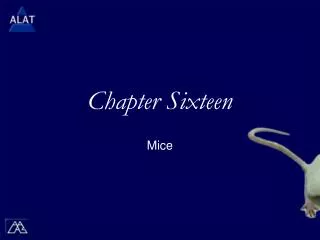 Chapter Sixteen
