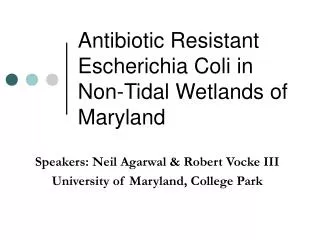Antibiotic Resistant Escherichia Coli in Non-Tidal Wetlands of Maryland