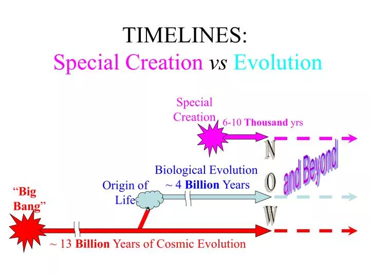 timelines special creation vs evolution